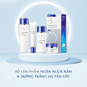 Transino — ảnh nổi bật