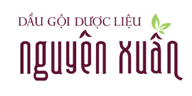 Nguyên Xuân — logo