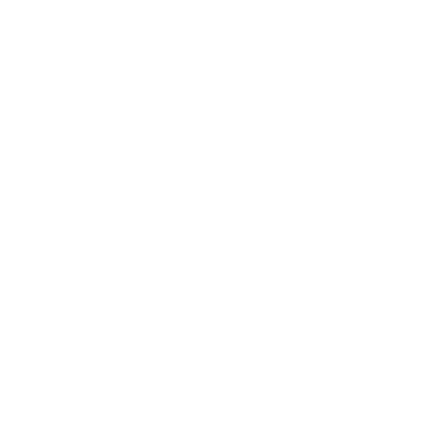 20.10